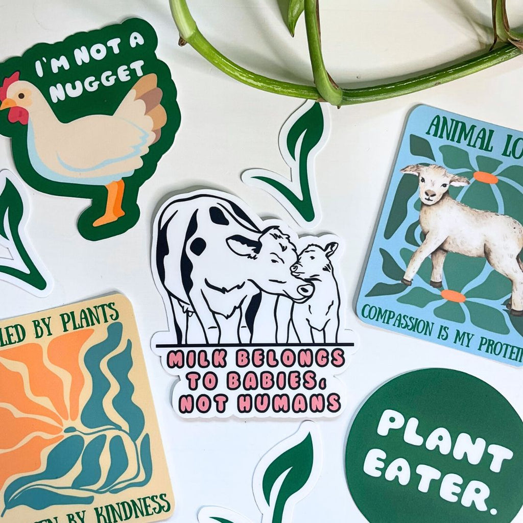Milk Belongs to Babies, Not Humans - Vegan Baby Milk Sticker